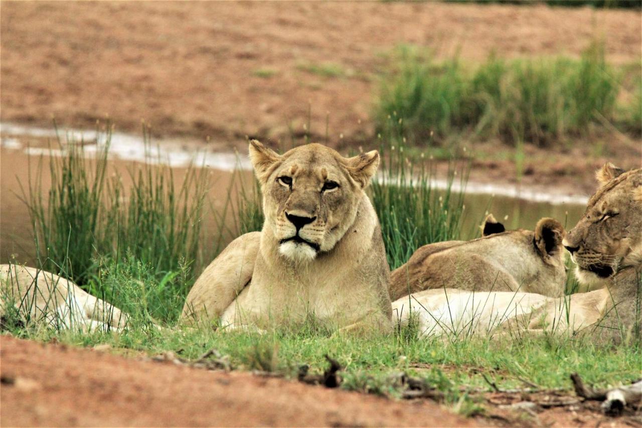 Abendruhe Lodge Pretoria Bagian luar foto