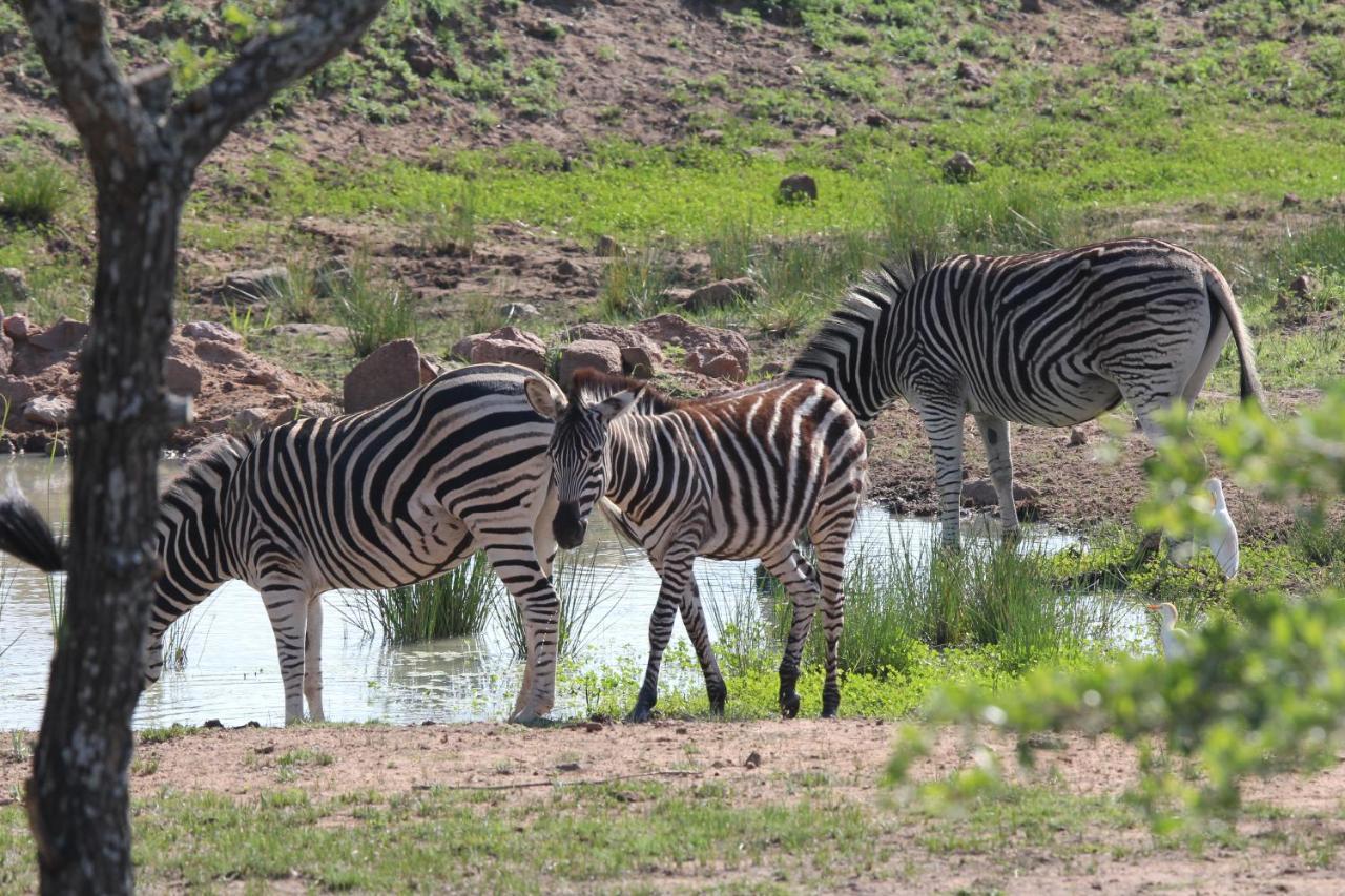 Abendruhe Lodge Pretoria Bagian luar foto